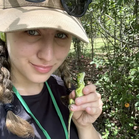 Ashlyn Willis, Undergraduate Researcher