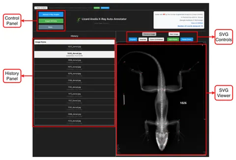 Screenshot of the ML-Morph Web main control panel