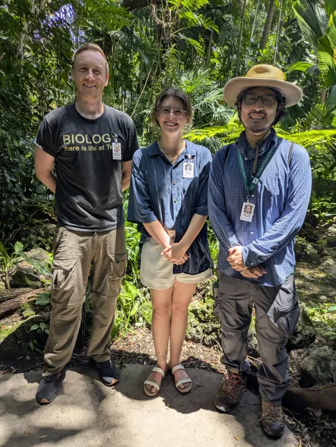 Three lab members in the tropical greenery of Fairchild Tropical Botanic Garden
