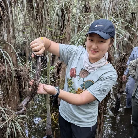 Haelin Lee, Undergraduate Researcher