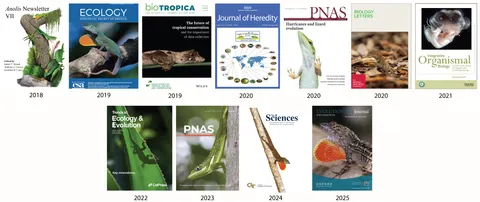Journal covers from Stroud Lab publications.