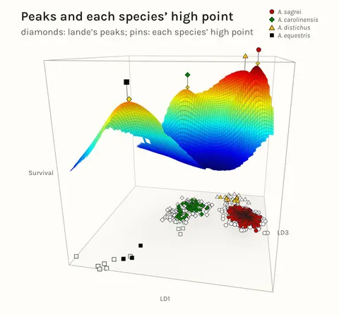 The fitness surface lande fitted to 1,692 captures of four anole species on Lizard Island, drawn in 3D as fitted chance of survival over two discriminant axes, LD1 and LD3, coloured from blue for low to red for high survival. Gold diamonds mark the surface's peaks and a pin marks each species' highest point, above the lizards on the floor, filled if they survived to the next census. Data from Stroud et al. 2023, PNAS.